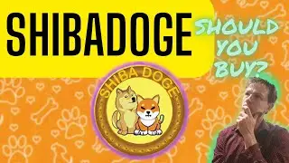 SHIBADOGE | SHOULD YOU BUY? | Neutral Review