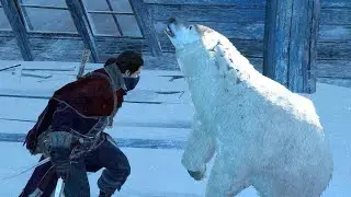 Assassin's Creed Rogue Relaxing Arctic Exploration with Master Shay Assassin Killer Outfit RTX 3080