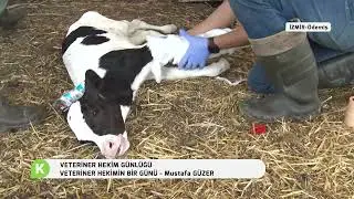 VETERİNER HEKİMİN BİR GÜNÜ I MUSTAFA GÜZER