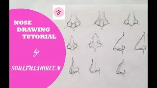 DRAWING NOSES: Front View, Side View, 3/4th View-A TUTORIAL by SOULFULSHIREEN