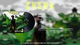 CVSHA - ANGUITA (Official Audio Visualizer) 2023