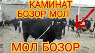 MARG‘ILON, KAMBINAT, MOL, BOZORI,  NARXLARI, FARG‘ONA, KAMBINAT, MOL, BOZORI, NARHLARI,