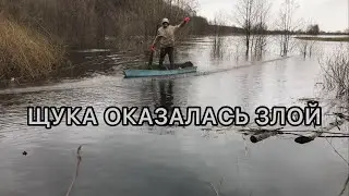 BOAT TO THE BOTTOM! PIKE BIT OFF YOUR FINGER!?