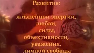 Тибетские пульсации