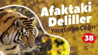 Afaktaki Deliller 38: Yaratılışa Çağrı (Türkçe Altyazılı)