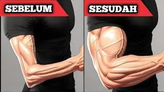 Cara Cepat Bentuk Otot Lengan Atas & Bawah,  Lengan Berotot Bikin Cewek Nempel!