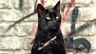 Что было бы ,если бы у кошек был большой палец?