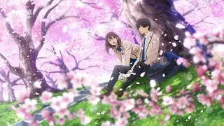Kimi no Suizou wo Tabetai [AVM] - Sad Song