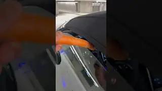 AMG CARROT TEST 🥕😱