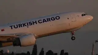 Turkish Cargo Airbus A330 Taking Off During Golden Hour [Full HD]
