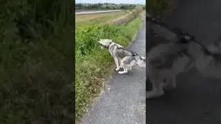 ЮМОР ЮМОР
