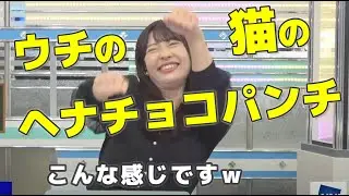 【山岸愛梨】あいりんの愛猫（おもち）のヘナチョコパンチ｜ウェザーニュース切り抜き