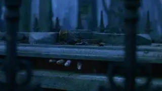 Van Helsing