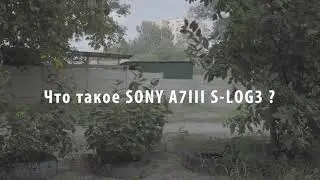 Что такое S_Log 3? Что такое LUT и цветокор