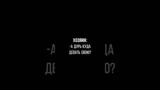 Бигль - лорд, а дурь свою куда девать? #бигль #beagle #lord #лорд