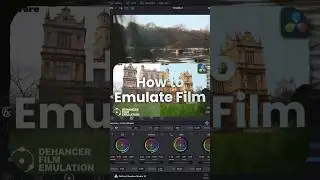 Film Emulation Before VS After | Dehancer Pro
