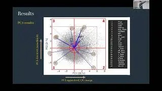 Medicane projections and their problematic numerical identification, Juan Jesus Gonzalez Aleman