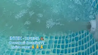 Бассейн Чистая вода
