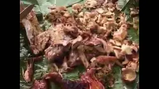 Tắm suôi nướng gà vịt cùng anh em 1-5-2020