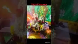 Shiva Stotram #Monday #lordshiva #kalyanam #temple #devotional #songs #shortsvideo