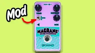 £40 delay with tricks up it's sleeve? Gokko Magrane Echo Machine Delay