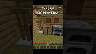 Types of Minecraft player || Part:- 3 