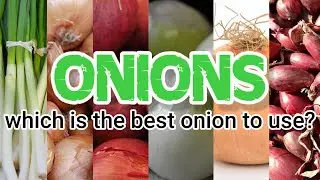 Which is the best onion to use? | Cooking with Kevin Crew