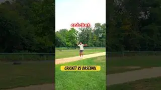 Cricket vs Baseball 👀? #cricket #baseball #cricketlover