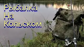 #РЫБАЛКА НА СЕВЕРЕ#ДИКИЙ ОКУНЬ#СПИННИНГ#КОЛЬСКИЙ#