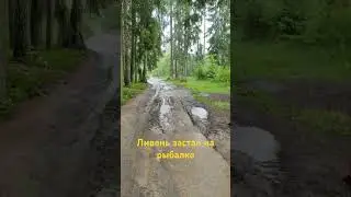 едем с рыбалки после ливня #рыбалка