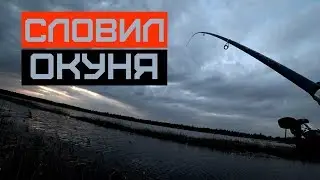 ПЕРЕЗАГРУЗКА! ОТДЫХ ОТ ТРЕЙДИНГА! ЕДУ НА РЫБАЛКУ КАК НА СПОРТКАРЕ!