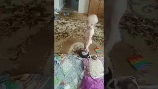 🛑В ДОМЕ БЕСПОРЯДОК СИДИМ В ТИК-ТОКЕ🛑