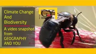 Climate Change and Biodiversity - GEOGRAPHY AND YOU