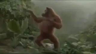 7777