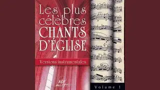Chercher avec toi, Marie (Instrumental)