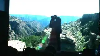 Tema de la novela 