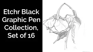 Cheap Joe's 2 Minute Art Tips - Etchr Black Graphic Pen Collection, Set of 16