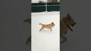 Малыши карандаши 