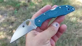 Spyderco Delica Wharncliffe K390