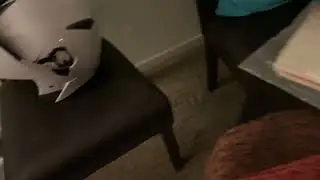 damn you Stanley