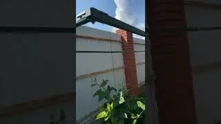 Шпалера для малины 
