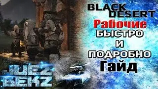 Black Desert Гайд: Рабочие / Рабы - Быстро и подробно.