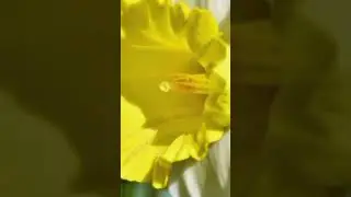 #աղոթք
