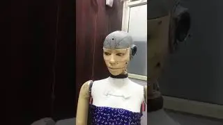 Funny Humanoid Robot 