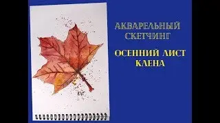 Рисуем осенний лист клена просто и быстро. Скетч акварелью