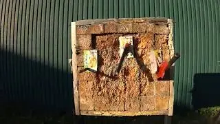 Метание ножа топора и лопатки. Кубок Долматова, 2017