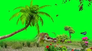 Green Screen Effect kinemaster Green Screen Video Green Screen Status