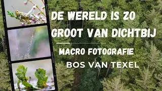 Fotografie vlog 54 | De wereld is zo groot van dichtbij | Macro fotografie |