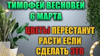 Народный праздник день Тимофея 6 марта. Тимофей Весновей. Народные традиции и приметы.