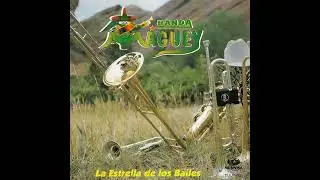 Banda Maguey COMO LA LUNA